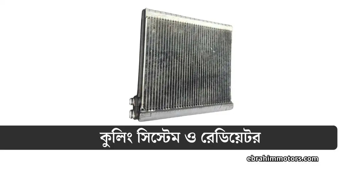 গাড়ির যত্নে যে ১৮টি কাজ নিয়মিত করা উচিত